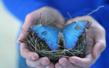 RCF "Croyants, ensemble vers la Paix"...Emissions de Mai 2014 RCF "Croyants, ensemble vers la Paix"...Emissions de Mai 2014